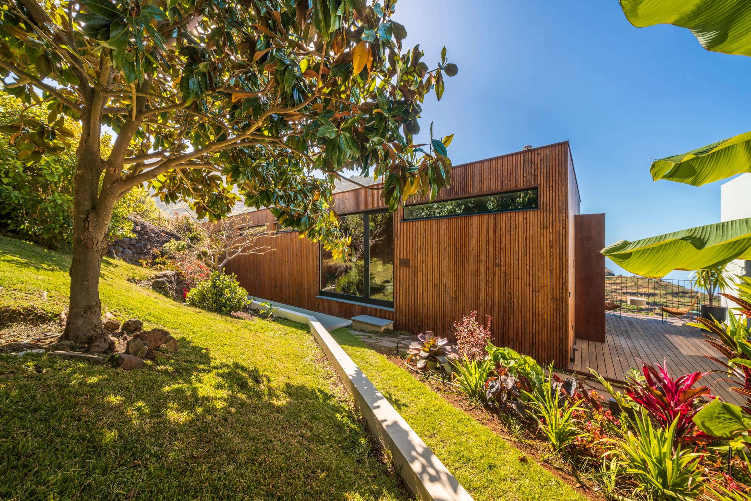 Timber-clad facade surrounded by tropical garden